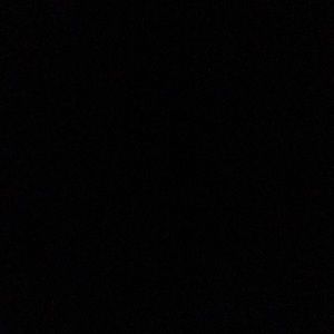 Meet your Posher, Tasha